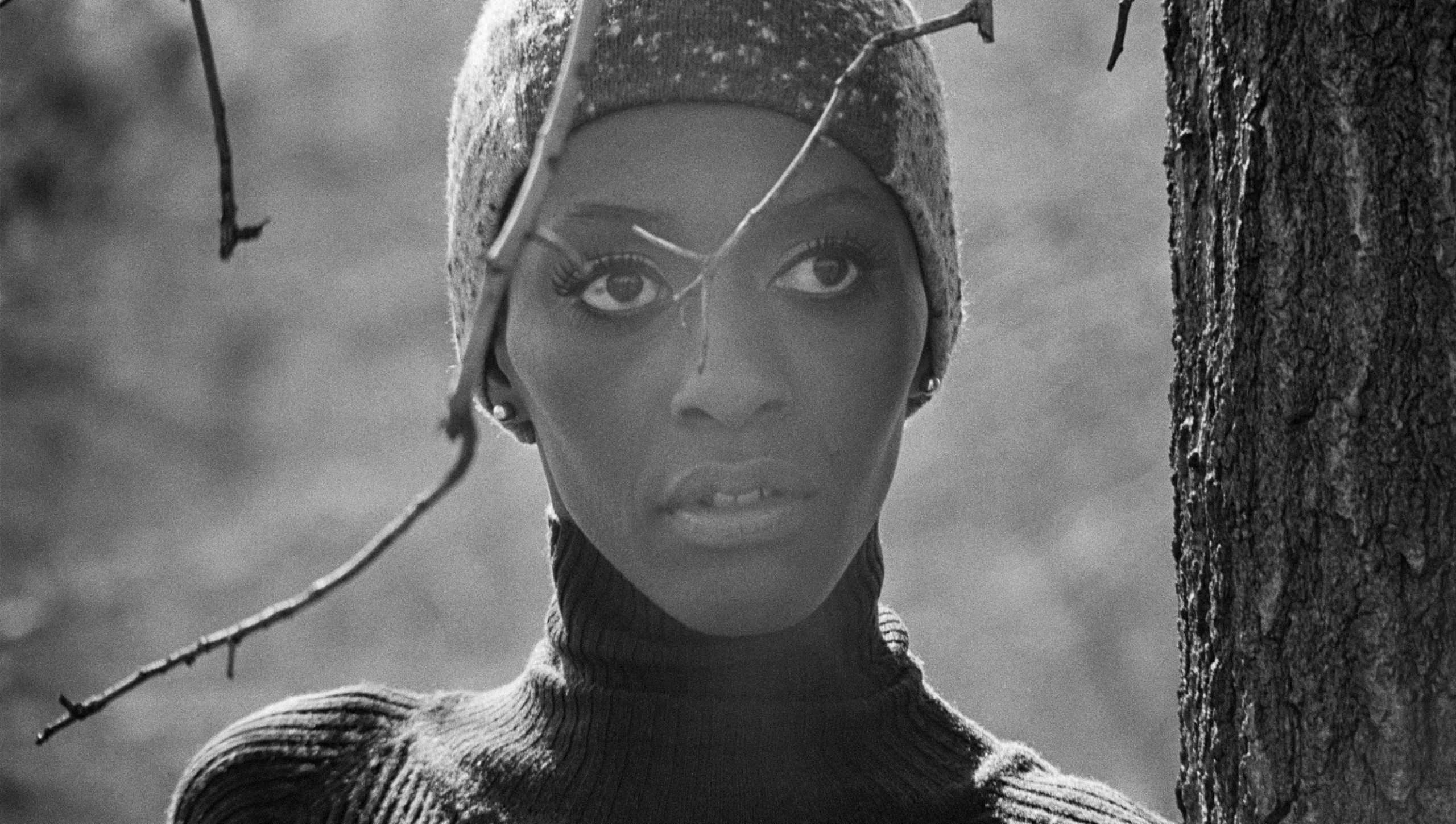 Bethann Hardison: Breaking Barriers and Transforming the Fashion Industry